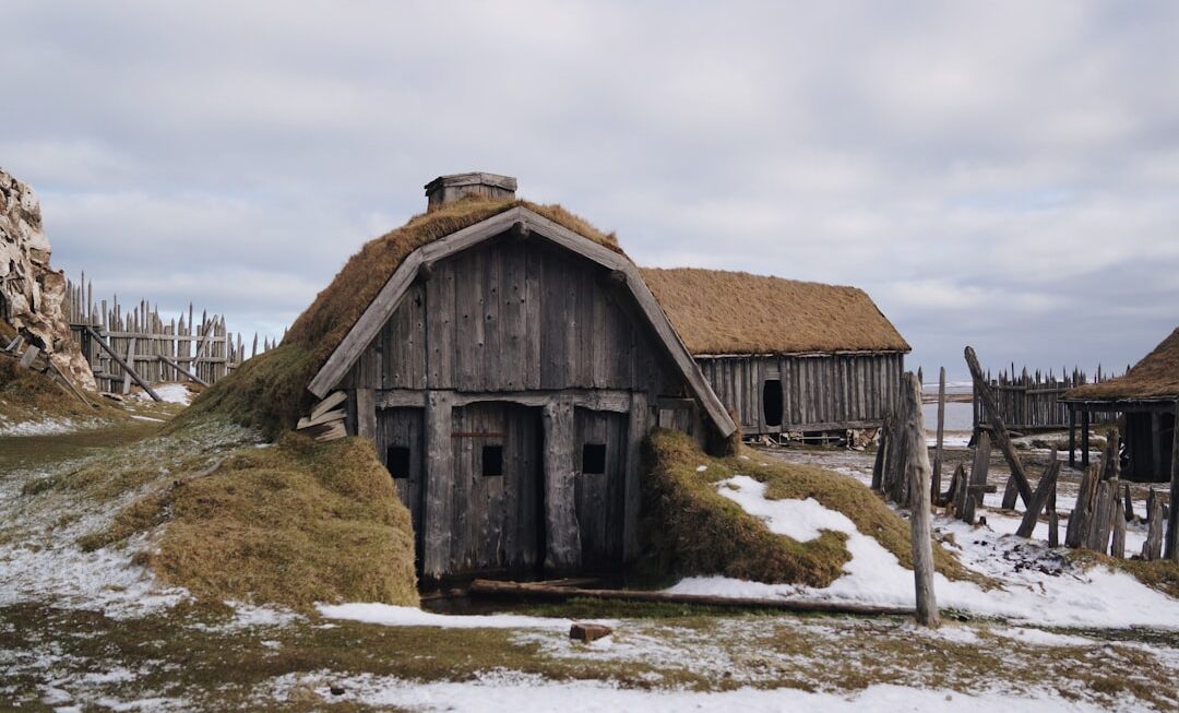 Photo Viking Axe